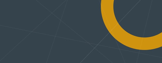 litigation banner