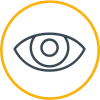 surveillance